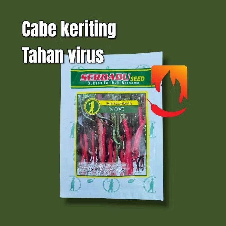 benih cabe keriting NOVI 15gr. serdadu seed