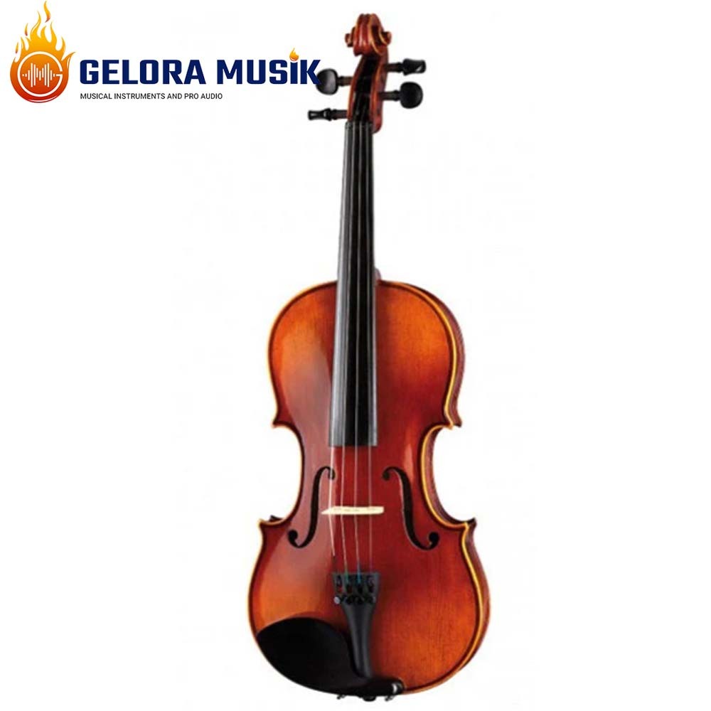 Biola Hofner AS-160-V4/4