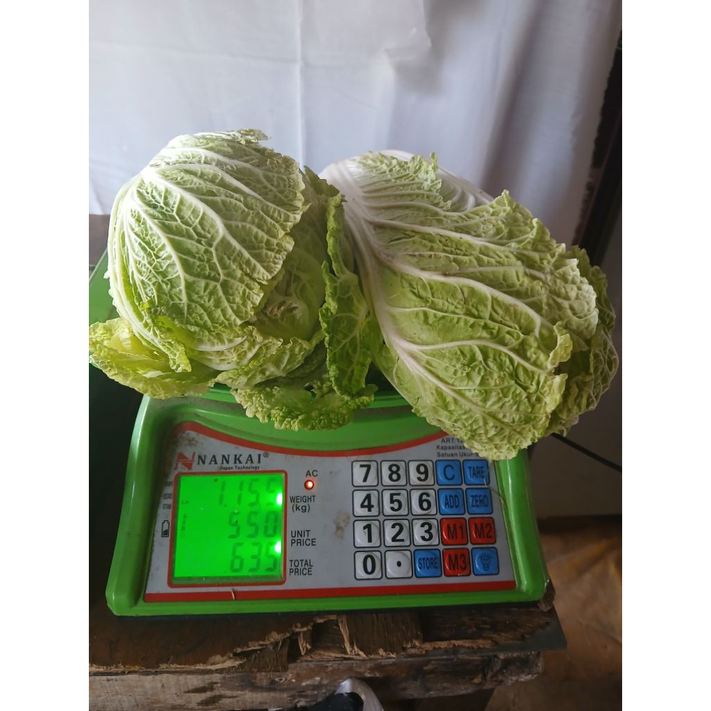 

sayuran sawi putih / shampo, sayuran segar