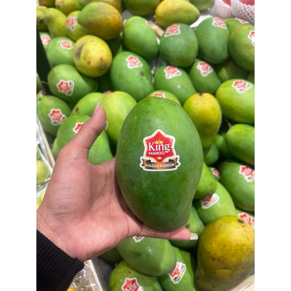 

Mangga Matang Pohon | Mangga Harumanis Fresh 1 kg