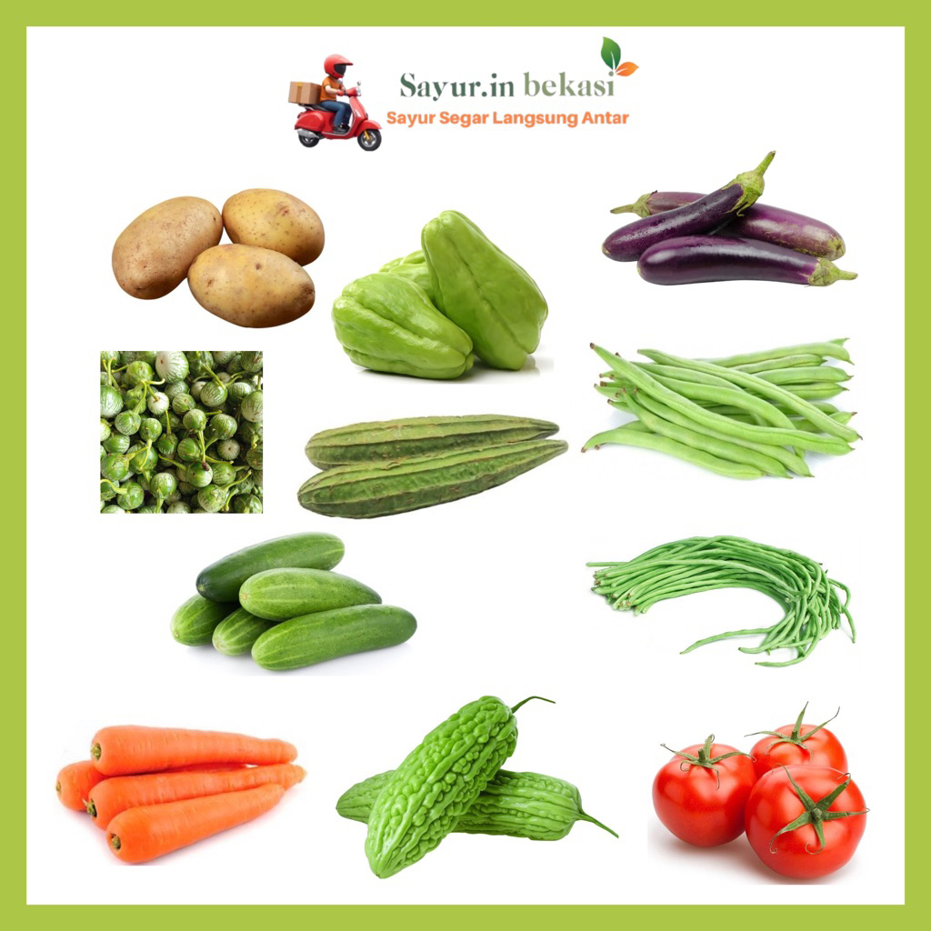 

KIRIM INSTAN Sayur Segar Serba 5000 kentang/ kacang panjang/ buncis/ timun/ tomat/ wortel/ pare/ terong bukat/ terong unggu/ oyong