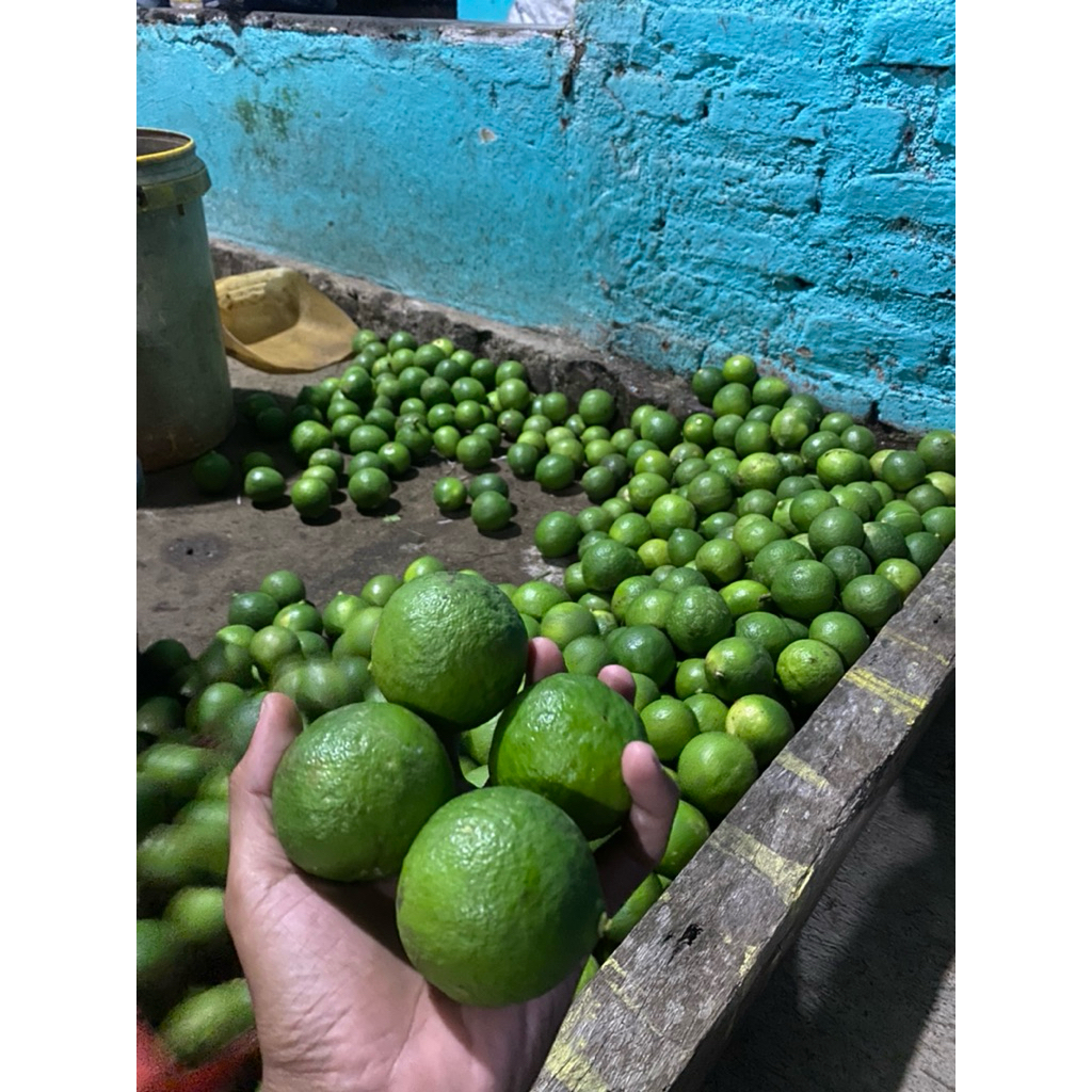 

Jeruk nipis segar 1/2 KG