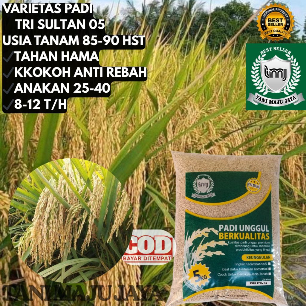 BIBIT PADI BENIH PADI UNGGUL VARIETAS TRI SULTAN 05 KEMASAN  5KG