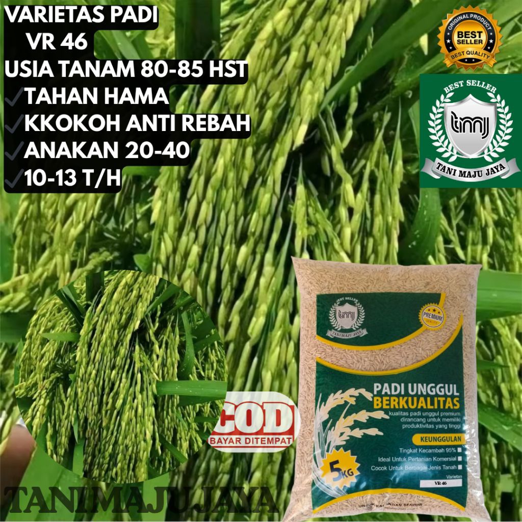 BIBIT PADI BENIH PADI UNGGUL VARIETAS VR 46 KEMASAN 5 KG