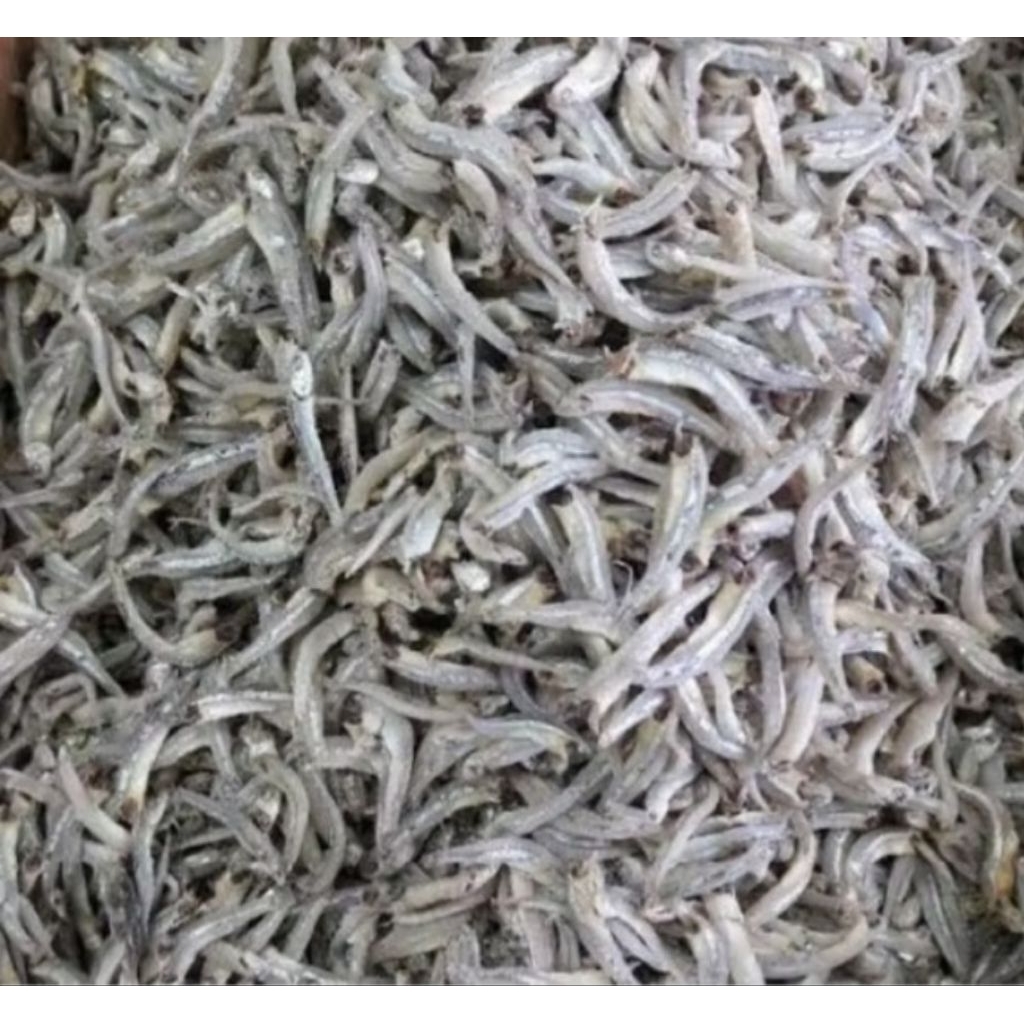 

Ikan Asin Teri Jenjki Kering Tanpa Pengawet