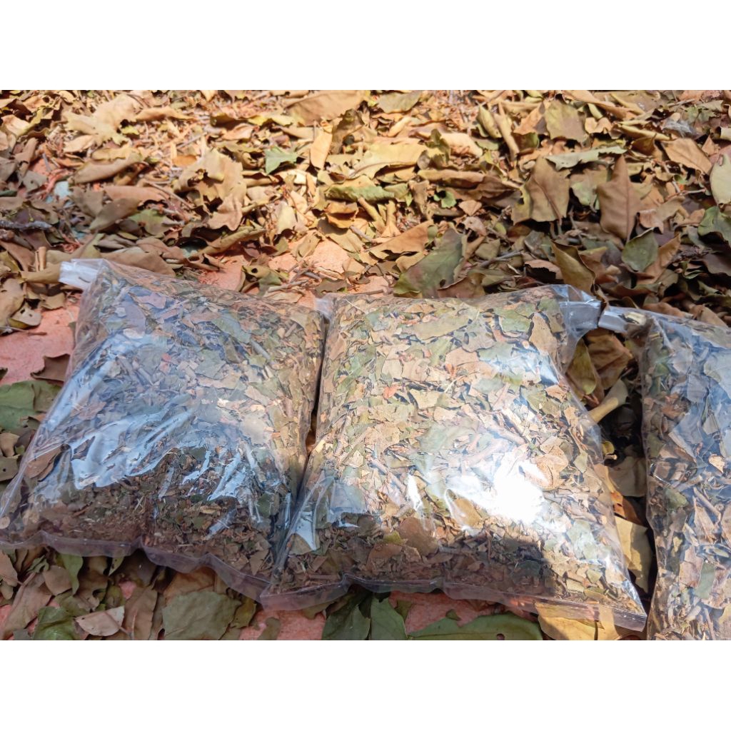 

Benalu jeruk kering 1 kg asli original