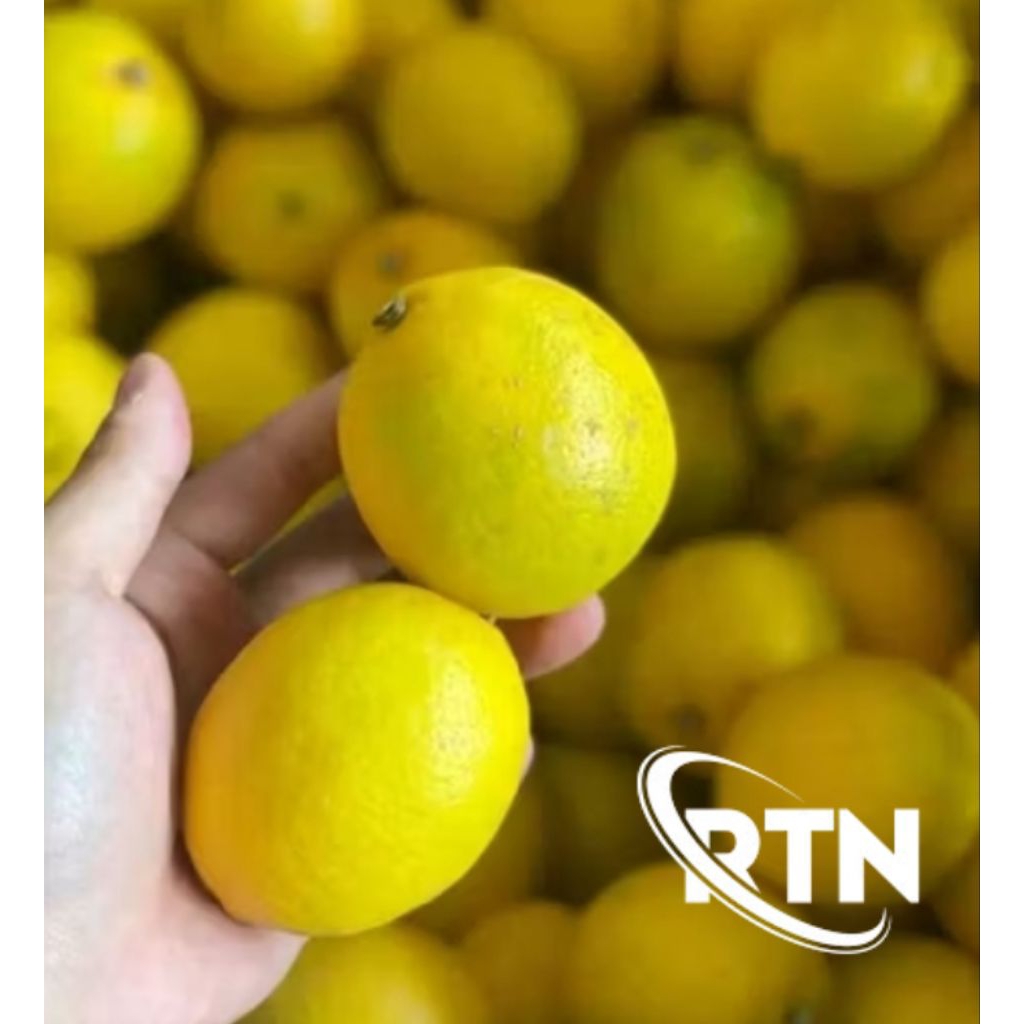 

Jeruk Lemon California super kuning 2kg super segar