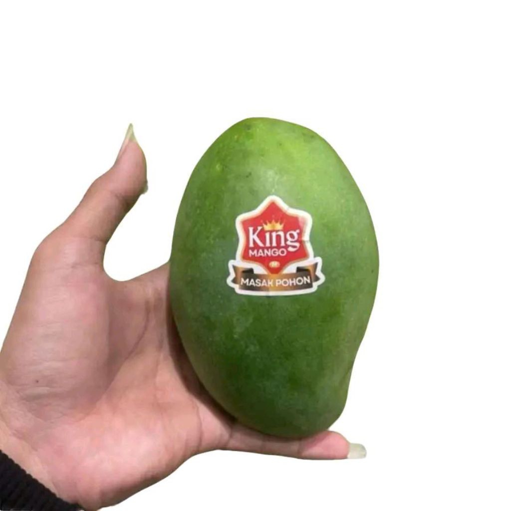 

Buah mangga king mango matang pohon super sweety 1 kg