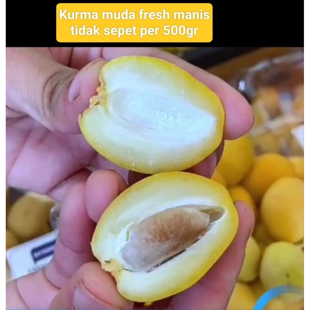 

Kurma muda fresh Promil per 1 pack 500gr kurma muda bahari Egypt