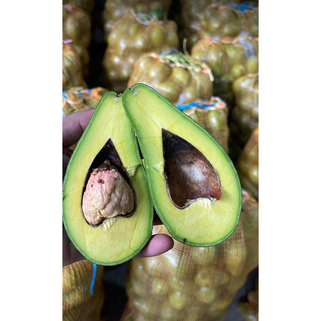 

Alpukat mentega 1 kg Khusus jabodetabek only