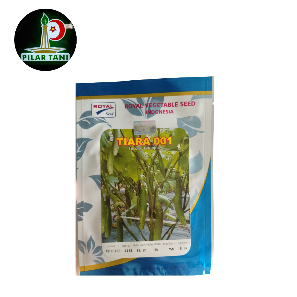 

BIBIT TERONG TELUNJUK