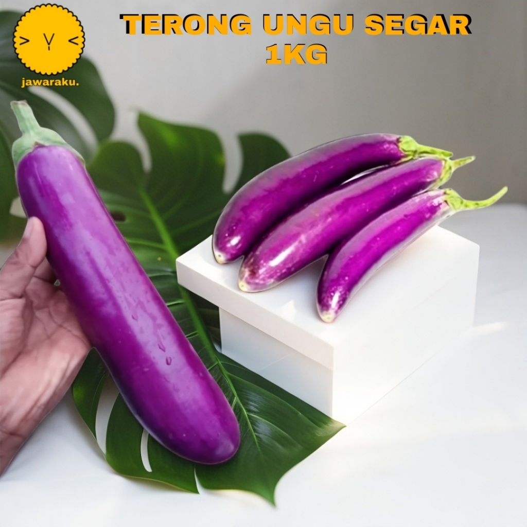 

terong ungu super segar 1 kg grosir