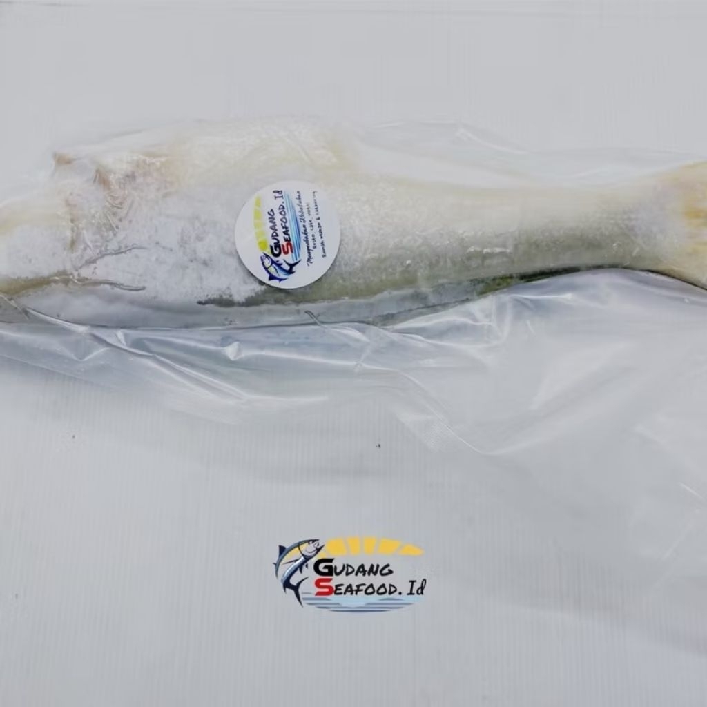 

Ikan Senangin Utuh Belum Potong Bersih / kg