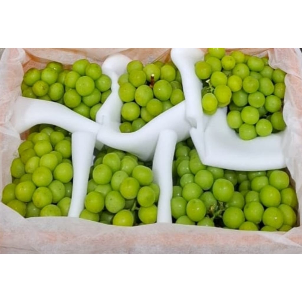 

Anggur Muscat Hijau 500gr Shine Muscat Import