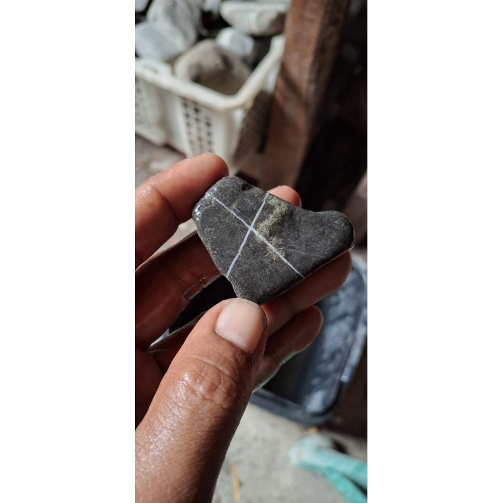 akik tapak jalak badar emas