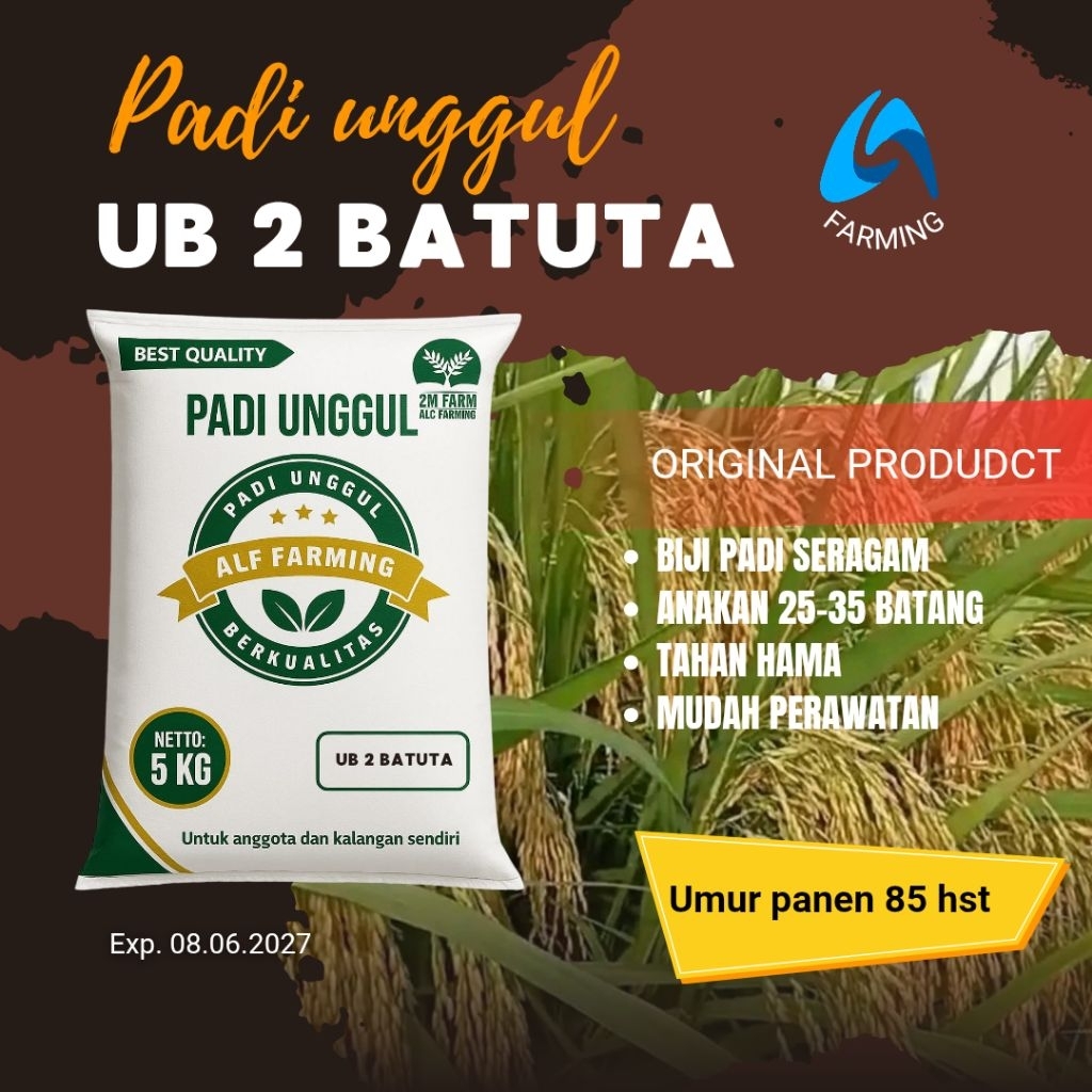Padi Unggul UB 2 BATUTA kemasan 5 kg