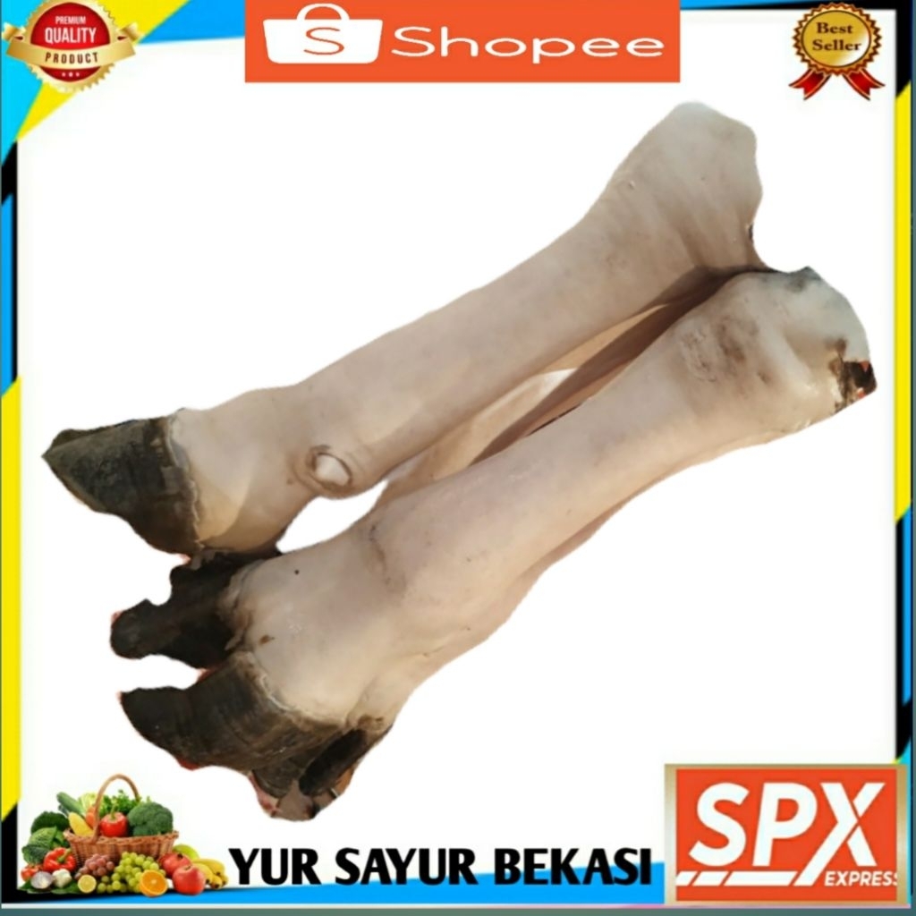 

Kaki Sapi Utuh (1 kaki).