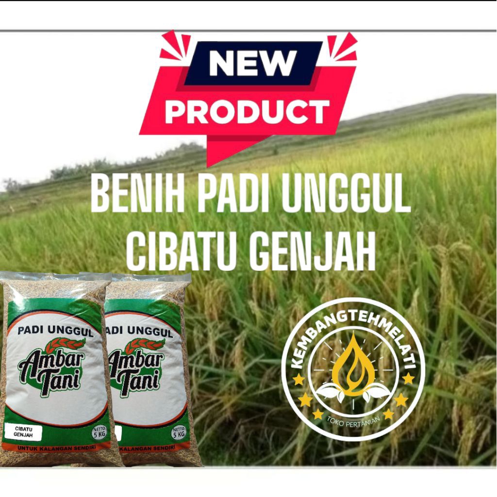 

Bibit Padi Benih Padi CIBATU GENJAH TERBARU Kemasan 5KG