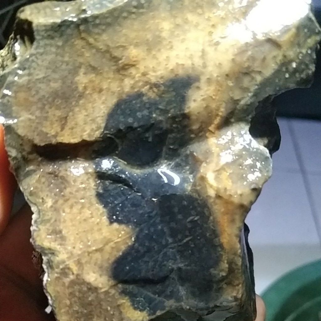 BATU FOSIL BAMBU KUNING LANGKA