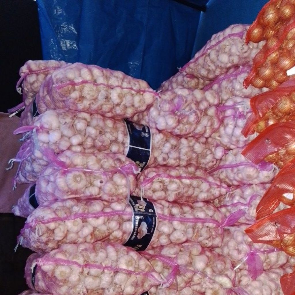 

bawang putih banci premium