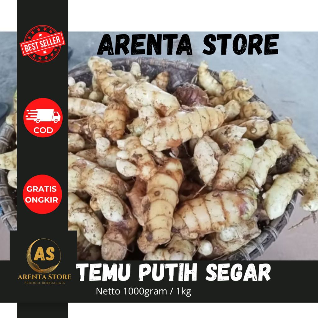 

Temu putih segar 1kg herbal kanker anti aging maag libido streses hati