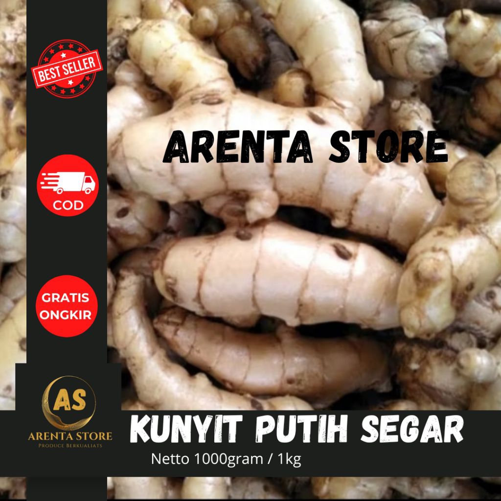 

kunyit putih segar orgnaik 1kg