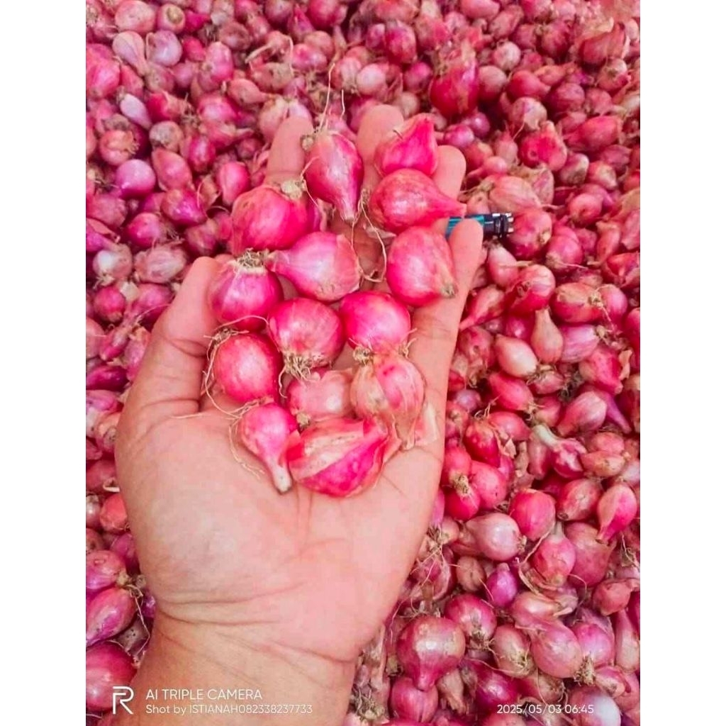 

bawang merah full besar kering gred A kemasan 500g diskon agustus