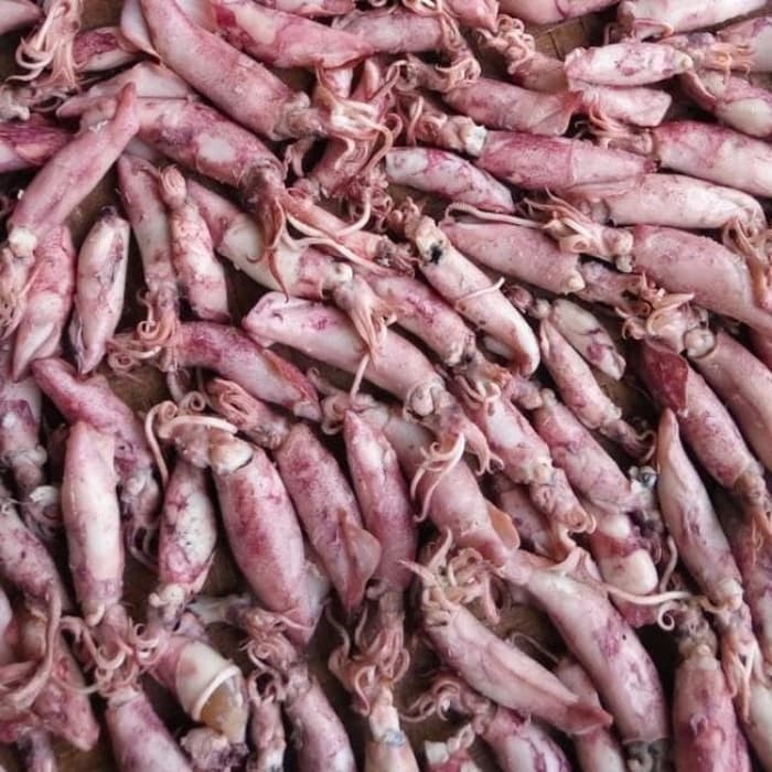 

WP - Ikan Asin Cumi Kering Super Premium 1 Kilogram