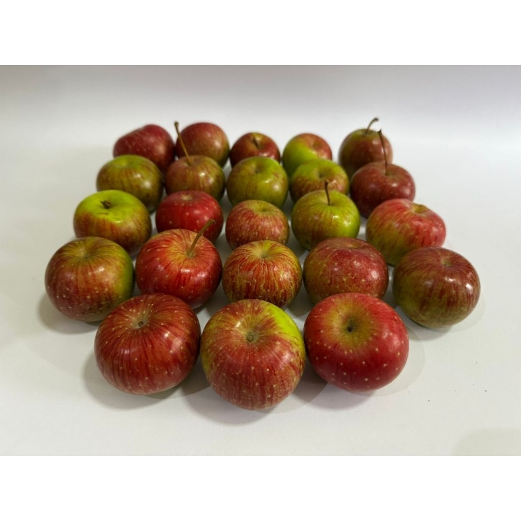 

Apel Malang Rome Beauty Kecil isi 19-22 per 1kg