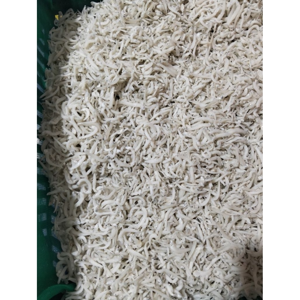 

Ikan Teri Nasi Kwalitas Eksport Kemasan (1kg /500gram/250gram/100gram)