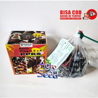 Bibit Benih Kecambah Sawit DxP PPKS 239