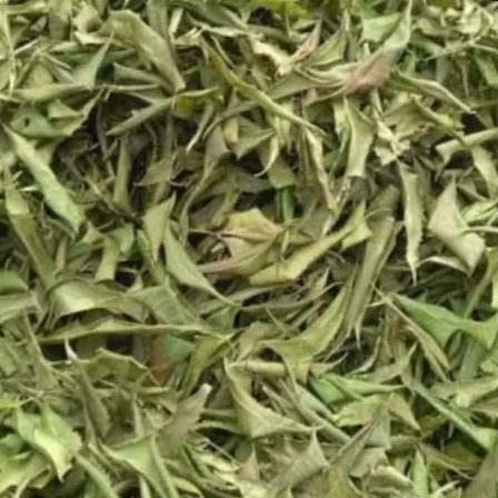 

jual daun mindi kering per100 gram, daun herbal kaya manfaat