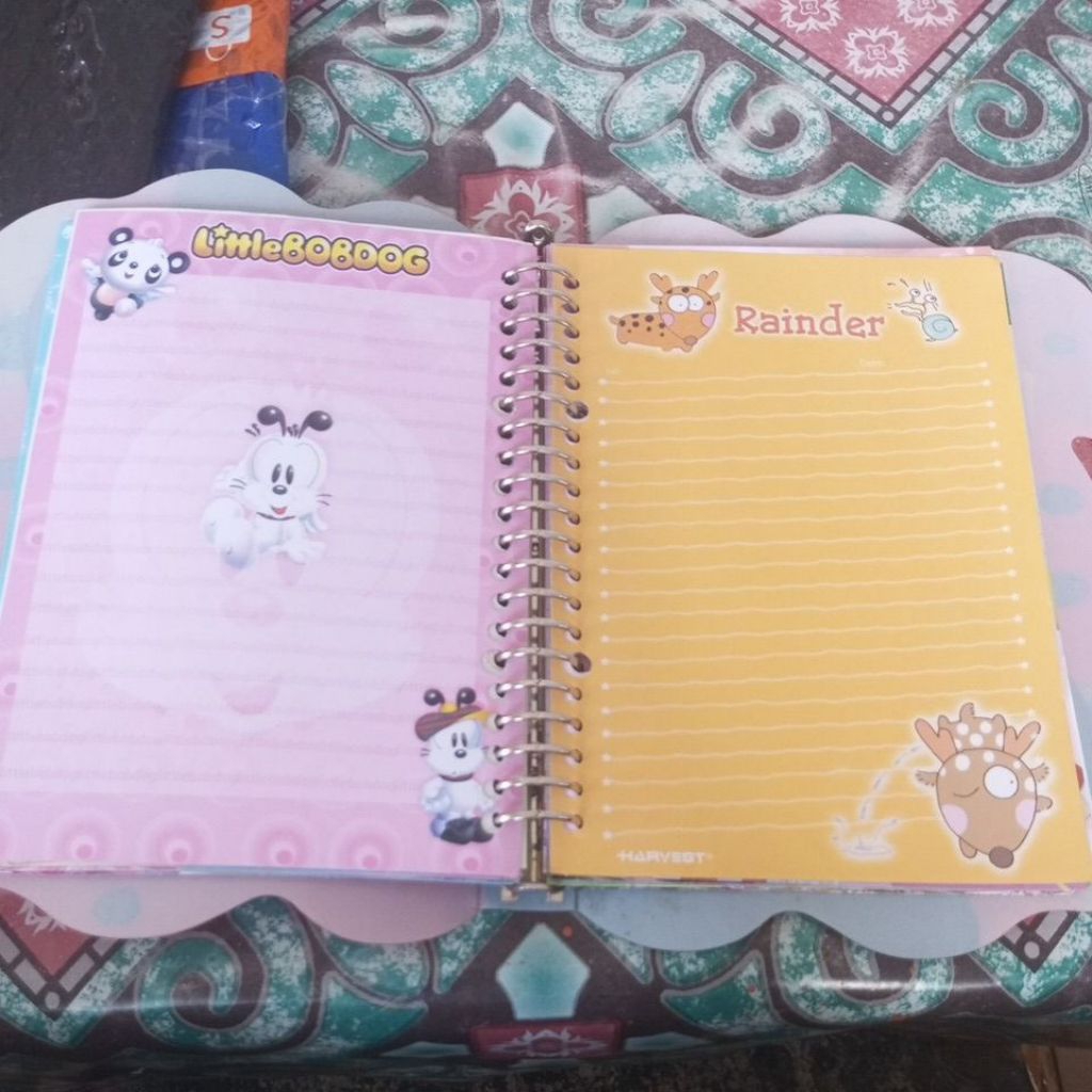 

(Preloved Binder) All in Binder Koleksi pribadi binder dan isi Koleksi jadul /Binder A5 PAKET 22