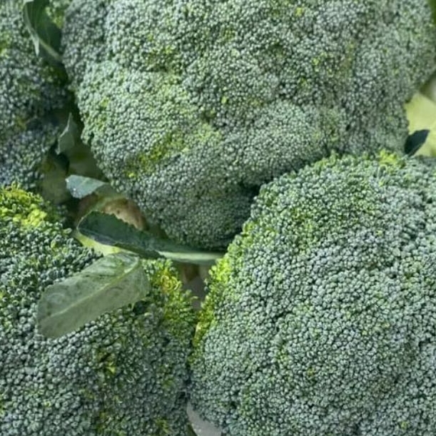 

BROKOLI IMPORT FRESH 500 GRAM