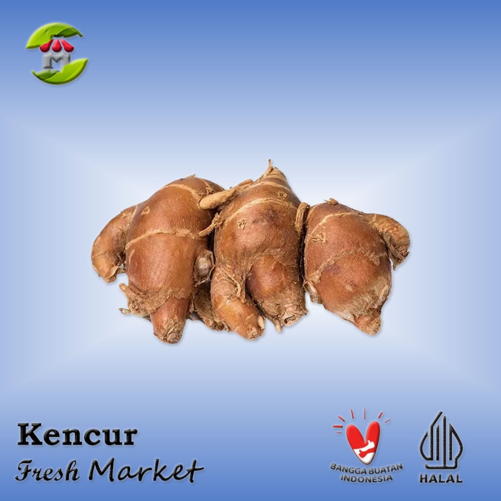 

[BOGOR] Kencur Pack 200gr - 250gr