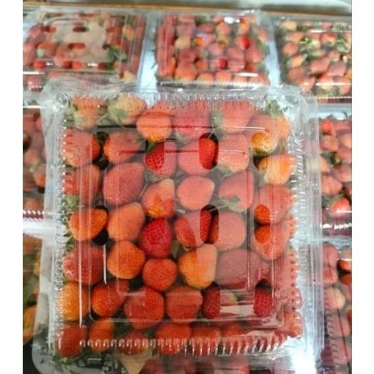 

Strawberry Fresh 1kg