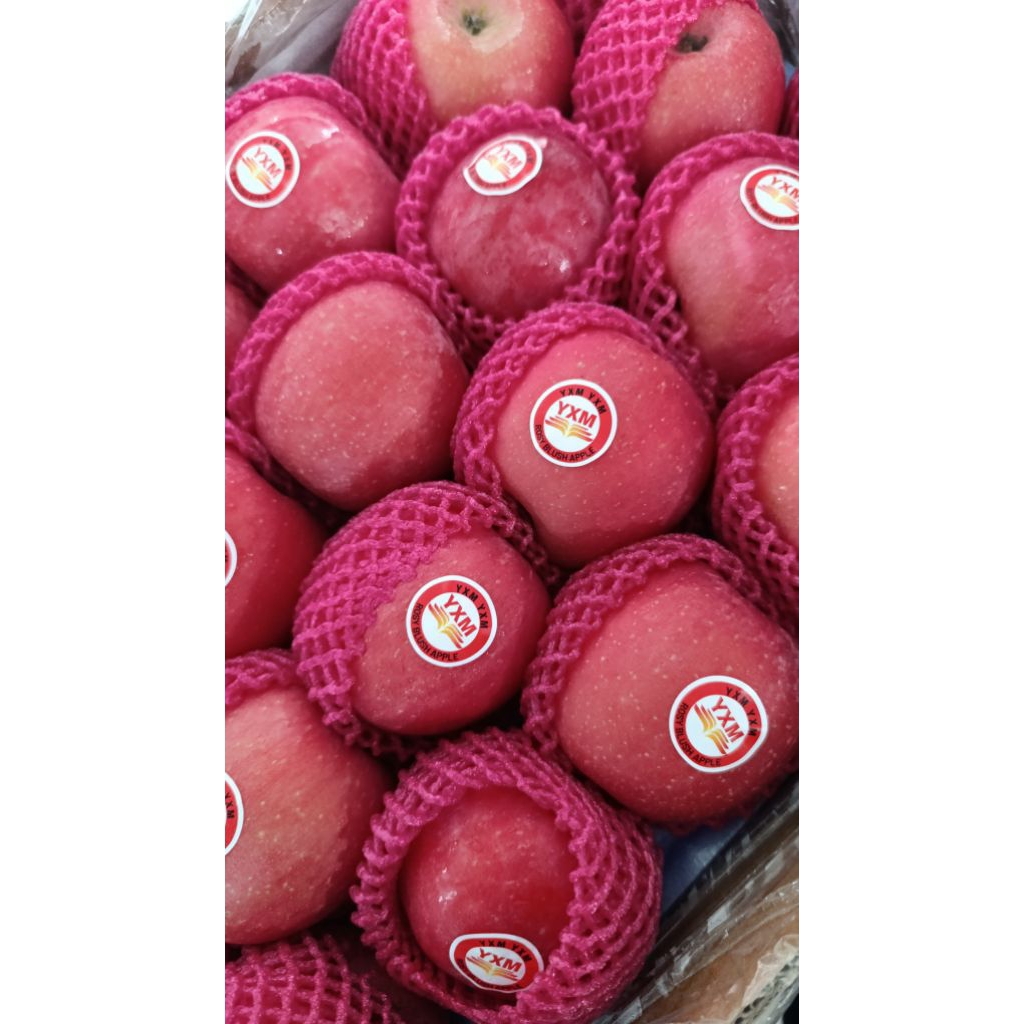 

kirim instant buah apel fuji premium 1kg buah apel