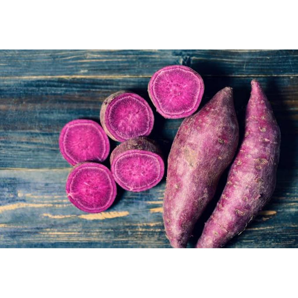 

1 kg Ubi Rambat Ungu Fresh (Ubi segar)