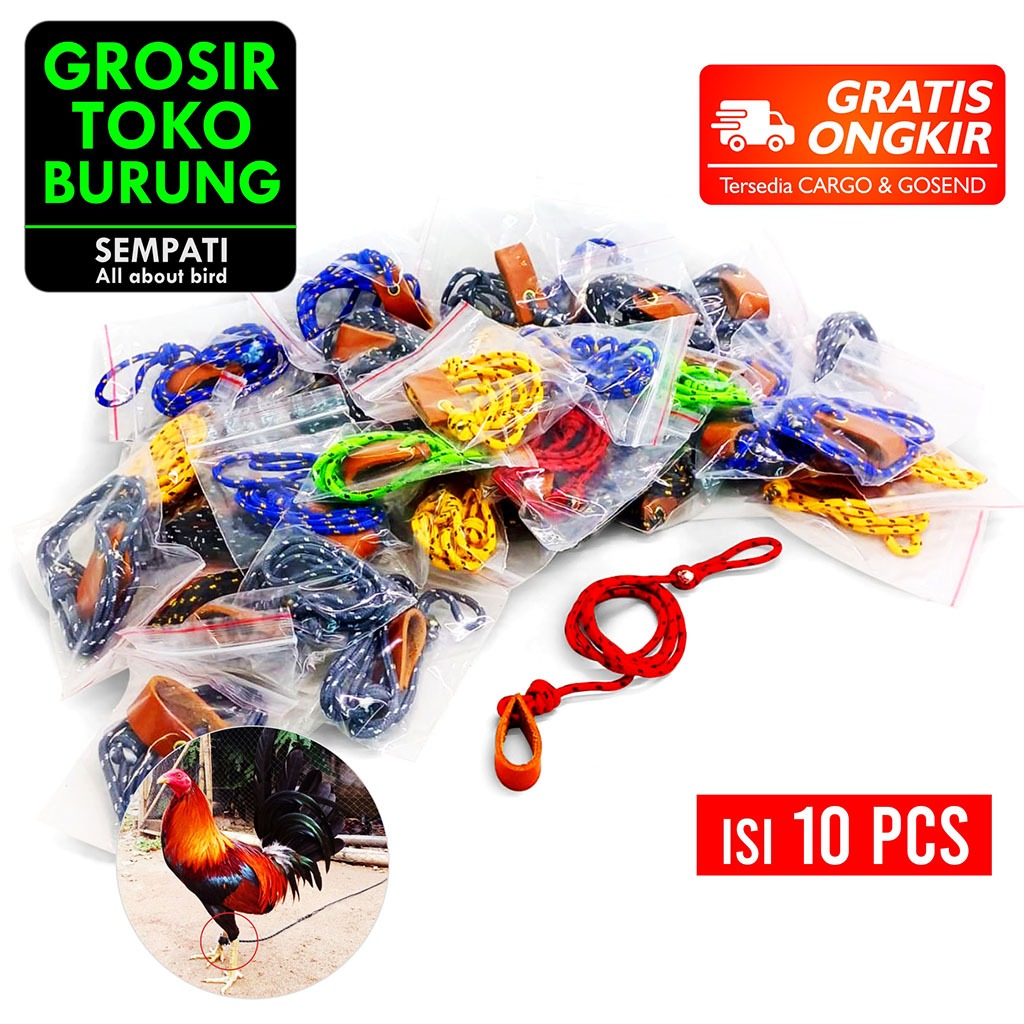 SEMPATI GROSIR Tali Kaki Ayam Full Perusik Panjang 1 Meter Isi 10 Pcs Tali Kaki Ayam Laga Jago Aduan