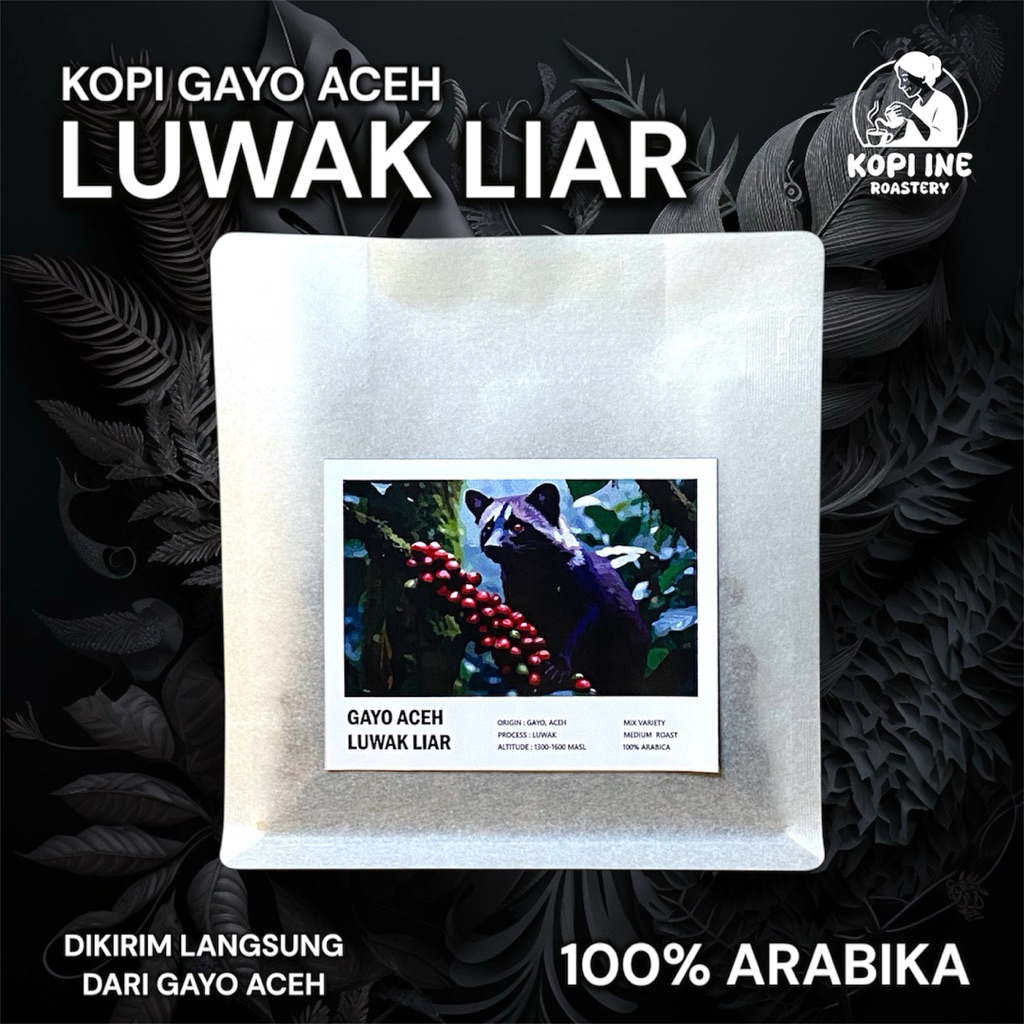 

Kopi Gayo Aceh Arabika Luwak Liar Asli- Luwak Premium Coffee Single Origin