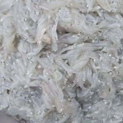 

Ikan teri nasi basahh murah