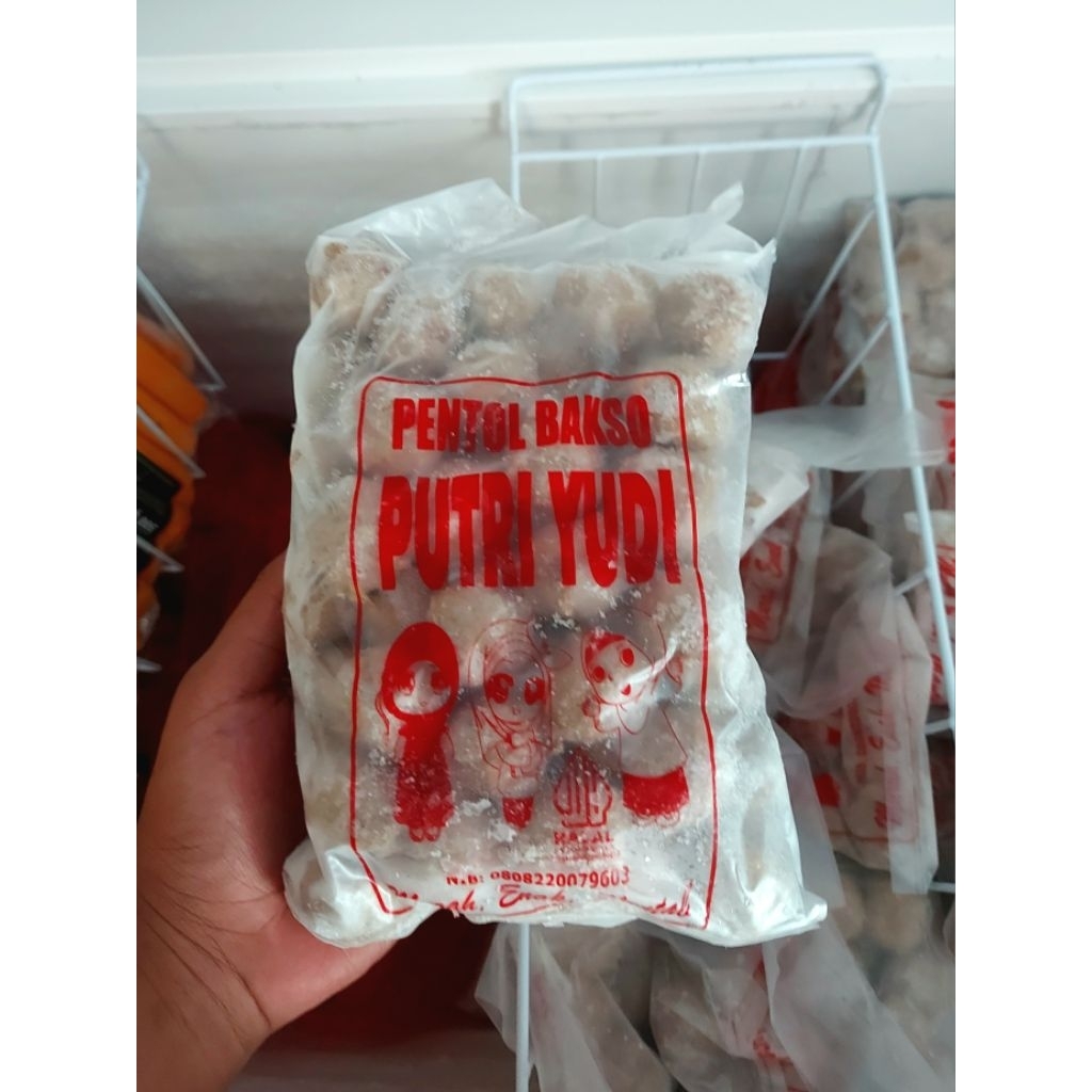 

PENTOL BAKSO PUTRI YUDI ISI 51
