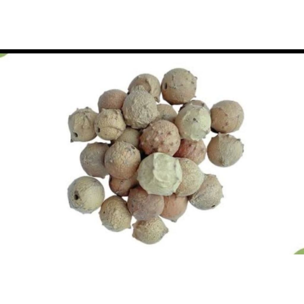 

Biji Manjakani Kering