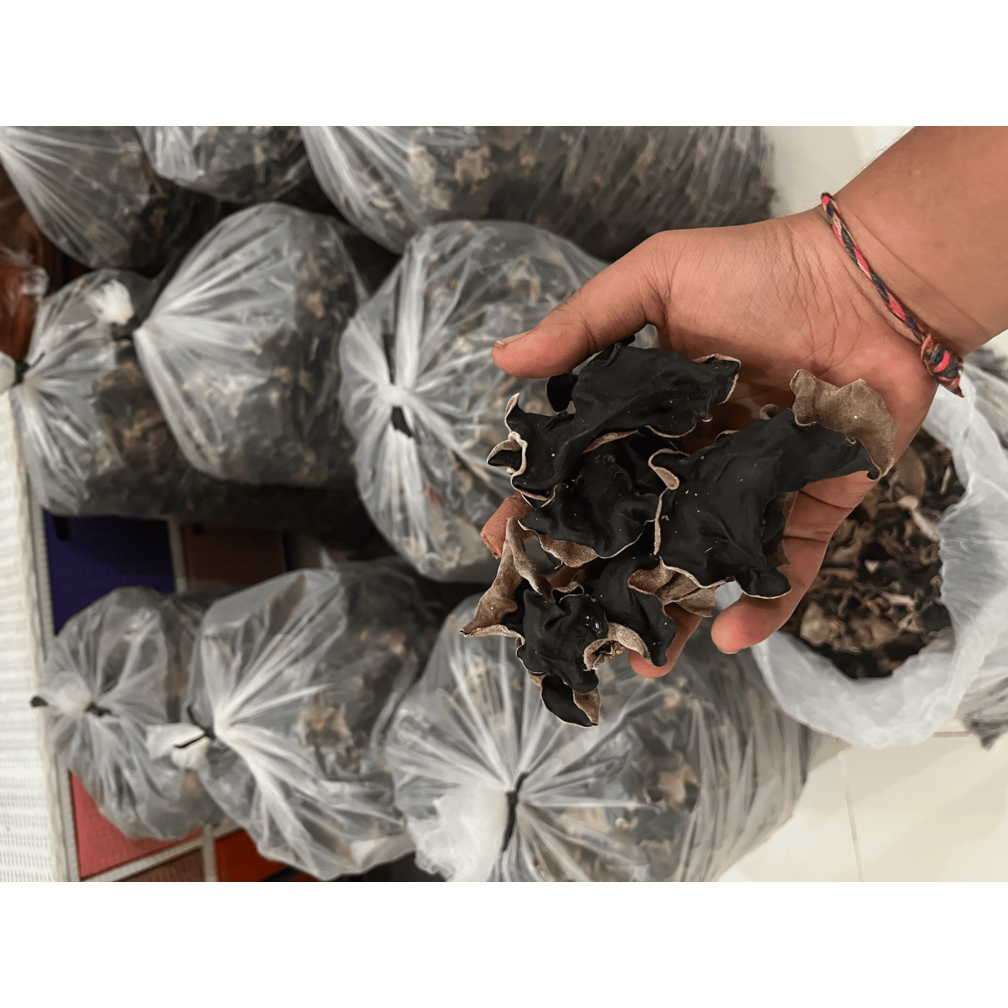 

Jamur kuping kering 1 kg super