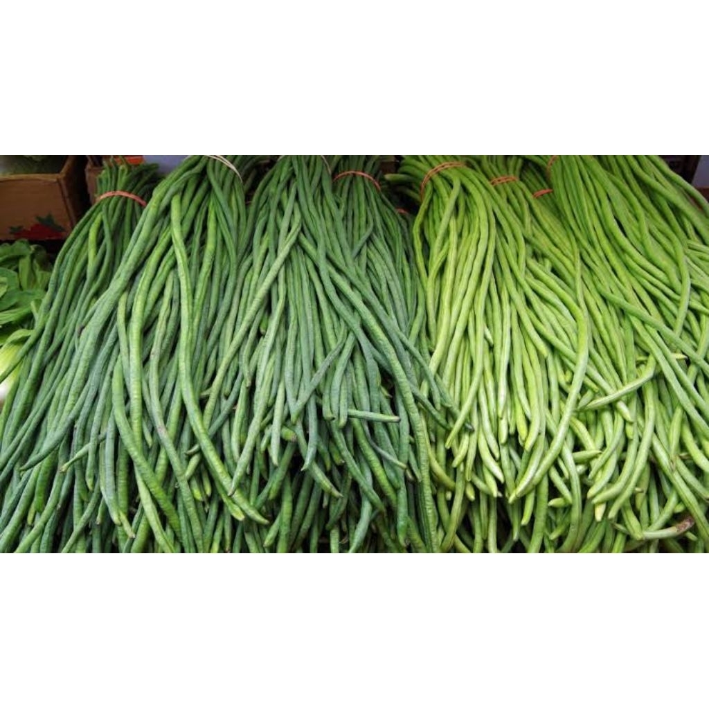 

Kacang panjang segar dari petani langsung