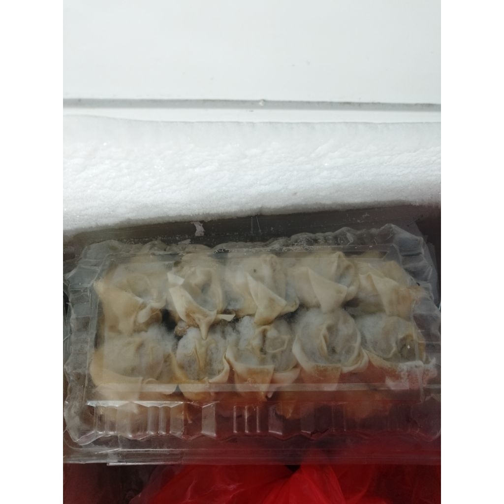 

pangsit dower isi 25