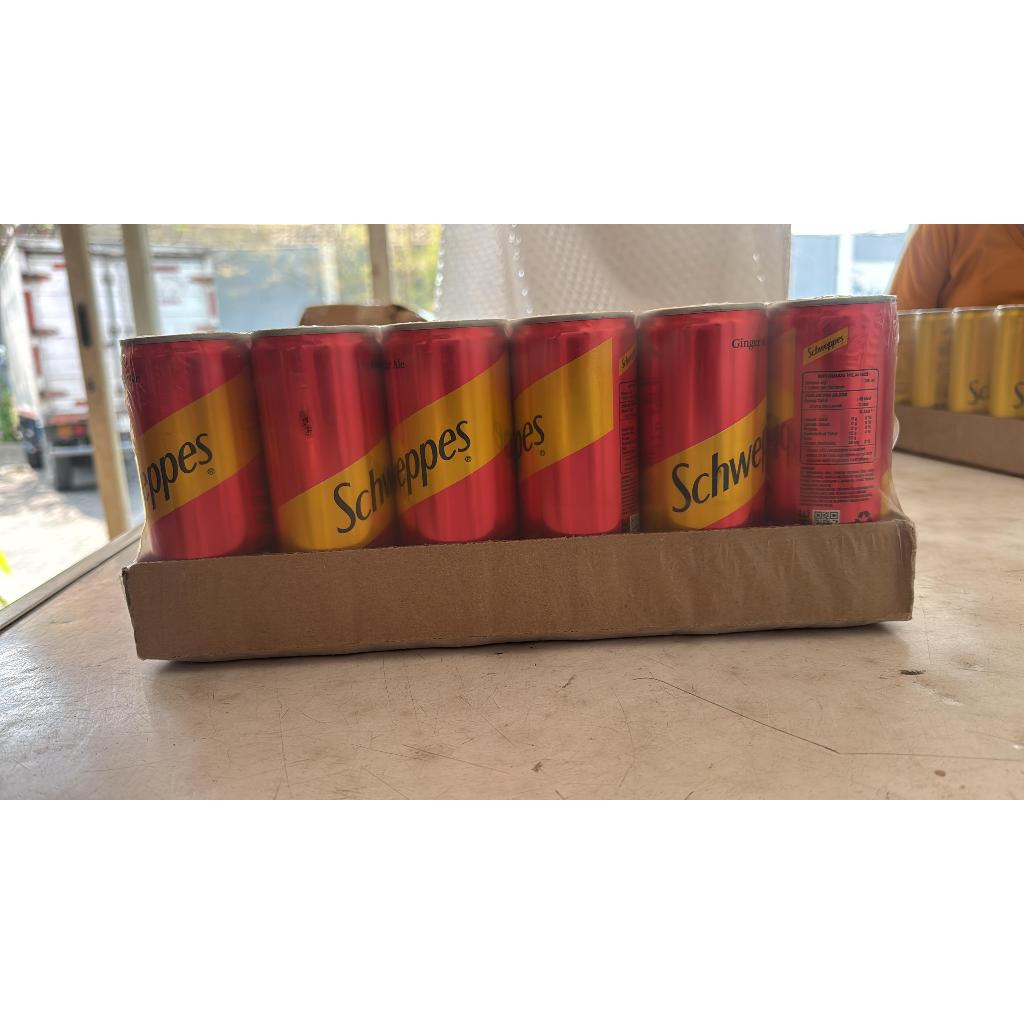 Schweppes Ginger Ale Can 250ml Karton Schweppes Ginger Ale Can 250ml Karton