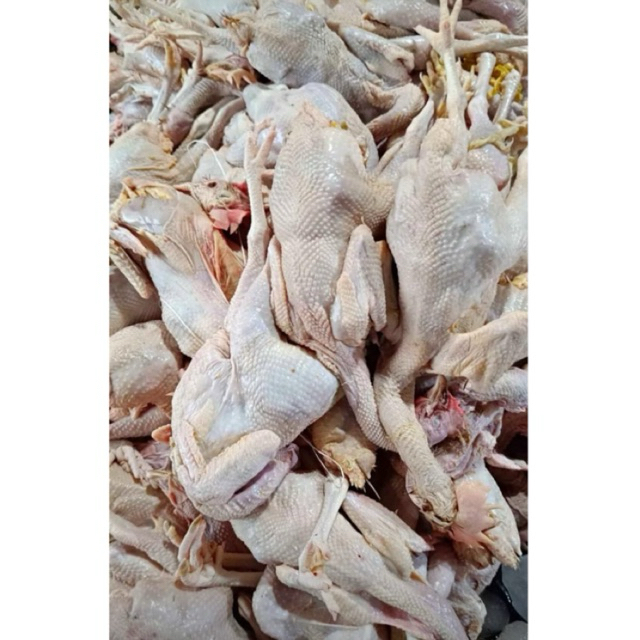 

DAGING AYAM MERAH/AYAM KAMPUNG/ayam potong mentah sepaket isi 3/4 ekor