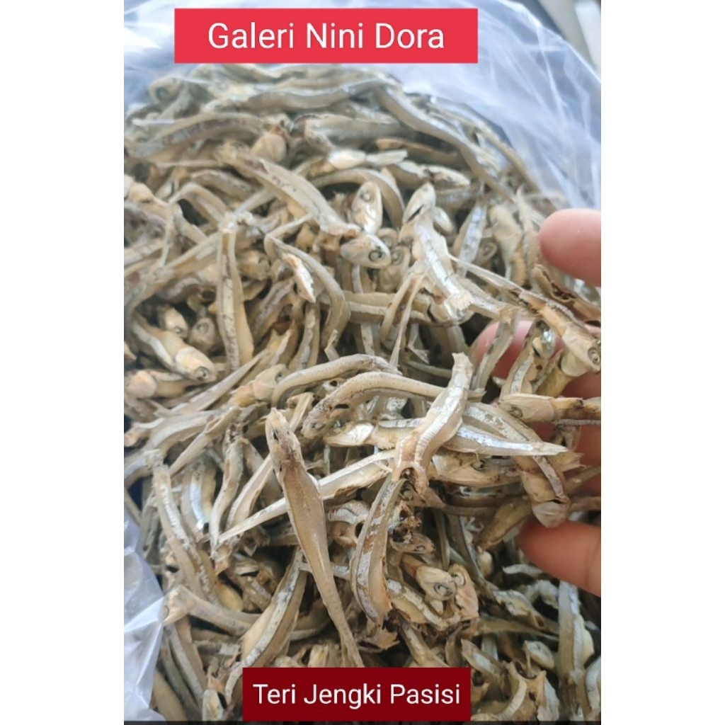 

Teri Jengki / langsung dari pantai pesisir / kota Padang