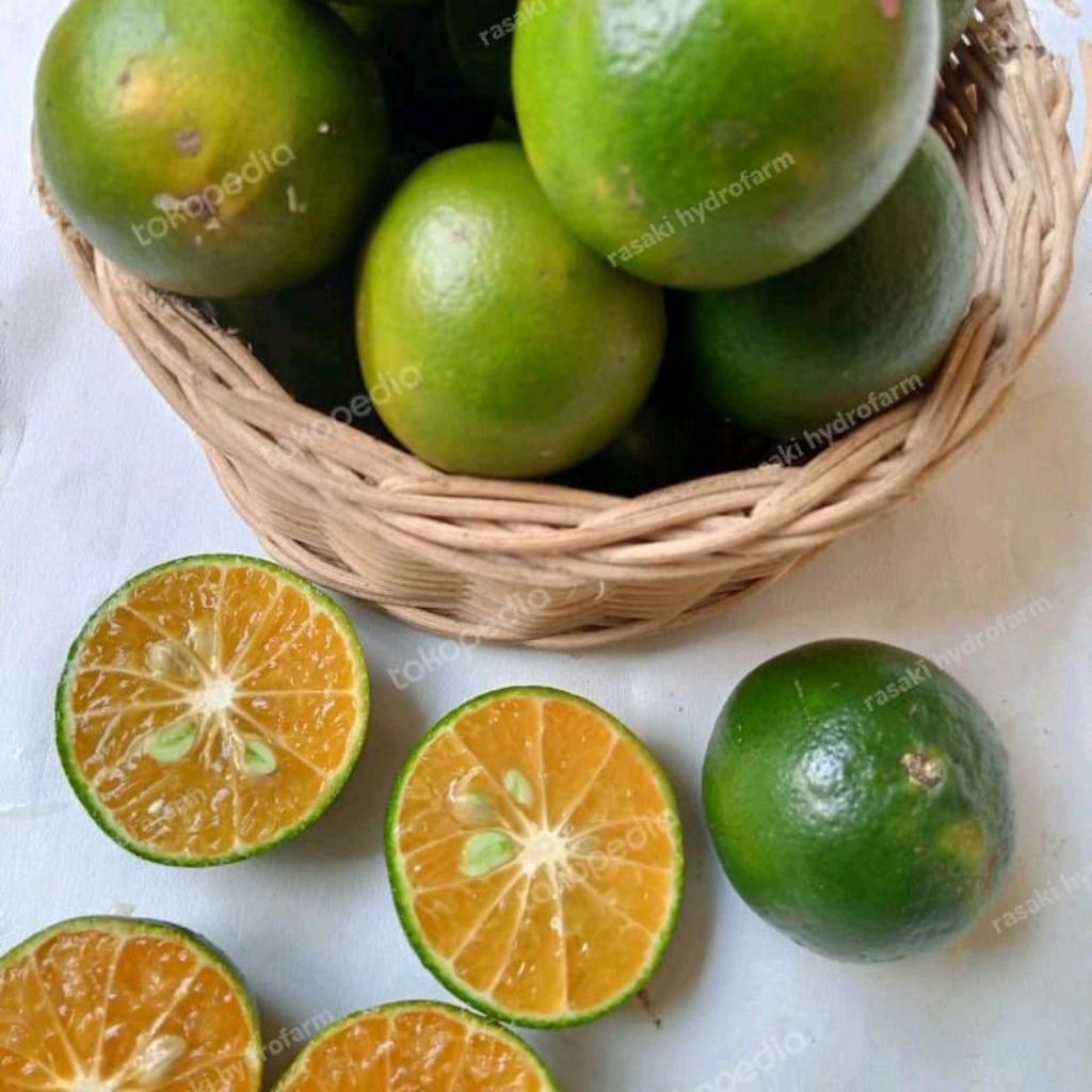 

jaruk peras segar vitamin c 1 kg